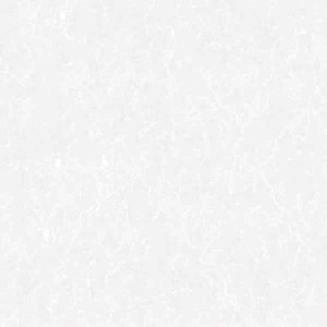 پرسلان امین میبد | مدل دوژ