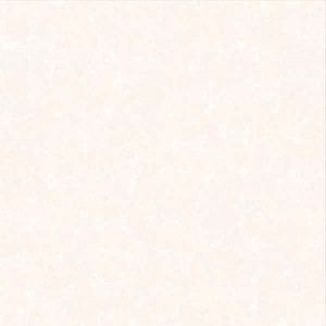 پرسلان امین میبد | مدل بویکا