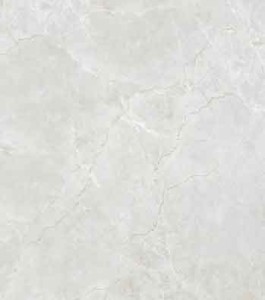 پرسلان امین میبد | مدل نهال