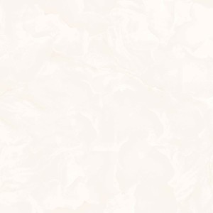 پرسلان امین میبد | مدل دیموس