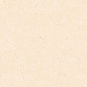 پرسلان امین میبد | مدل لوپان