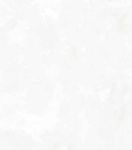 پرسلان امین میبد | مدل پالیزما