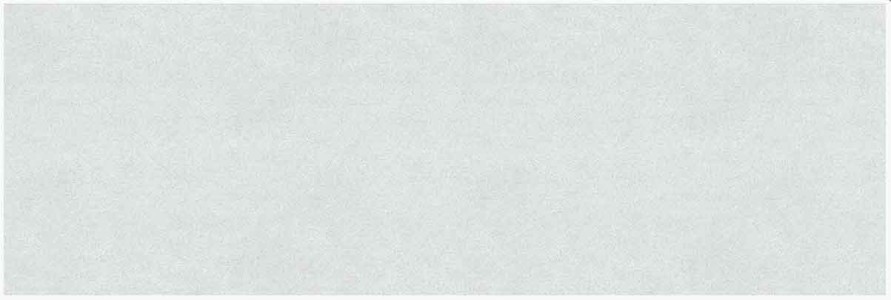 پرسلان ستاره میبد | مدل آتیس