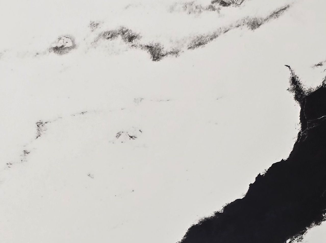 panda سرامیک 80*80 براق /مدل پاندا - تصویر 1